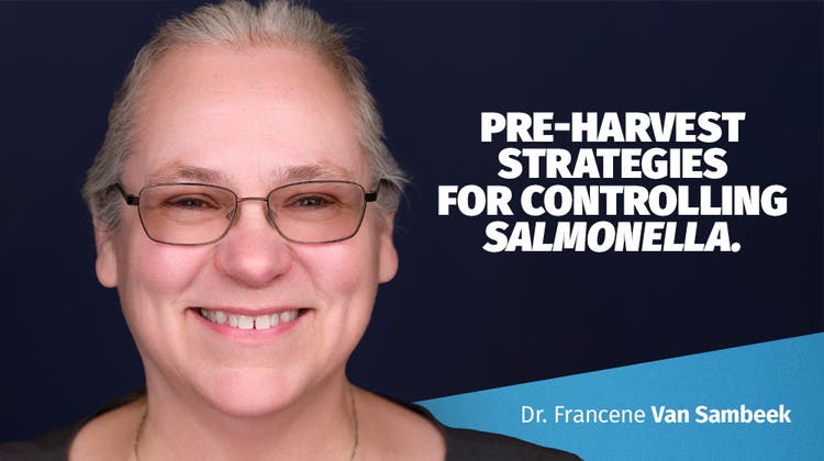 Pre-Harvest Strategies for Controlling Salmonella thumbnail