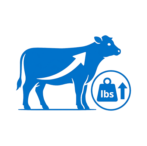 Beef cattle icon with an upward arrow and weight symbol, representing increased weight gain in cattle.