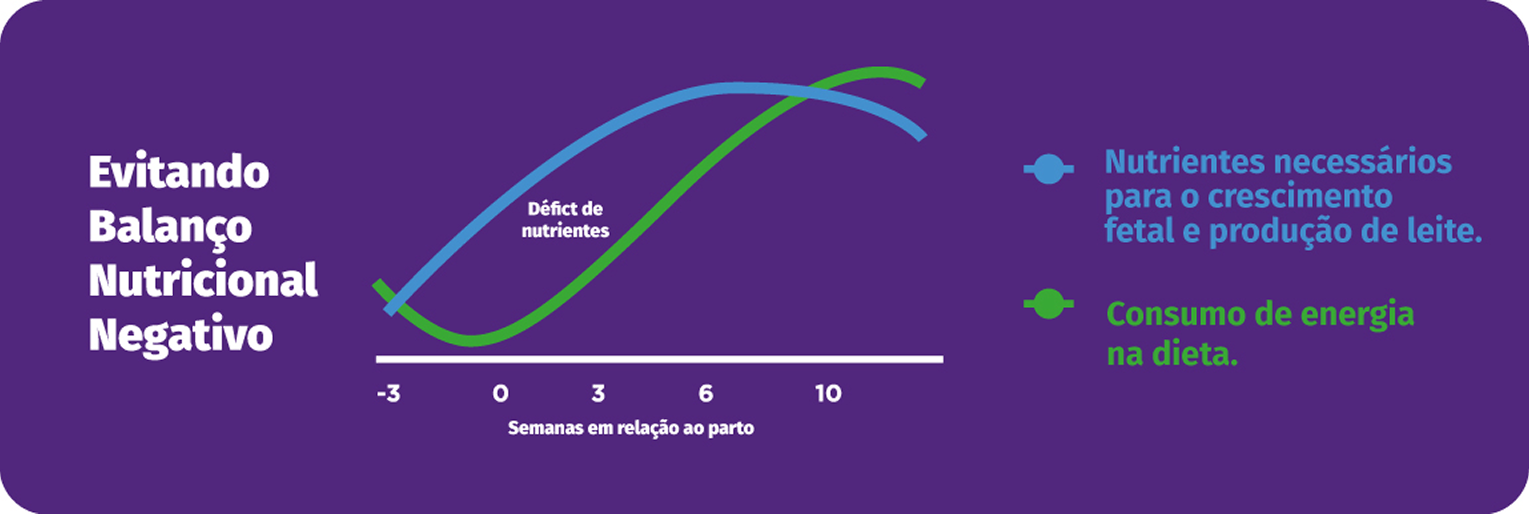Evitando Balanço Nutricional Negativo