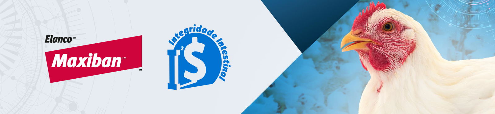 Banner Maxiban