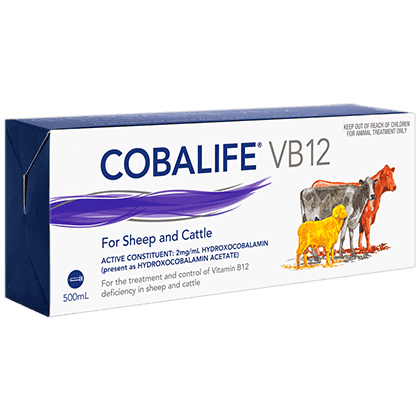 Cobalife™ VB12 packshot