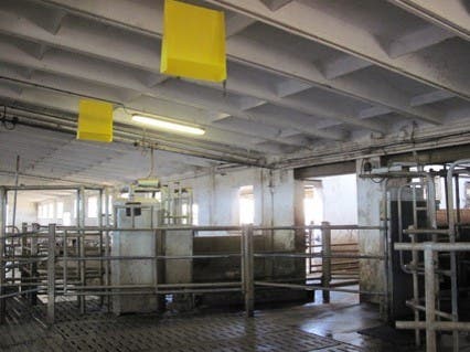 cow's barn with Agita hang boards
