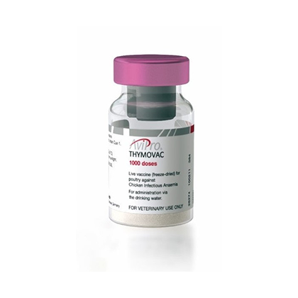  Produkt - Avipro Thymovac