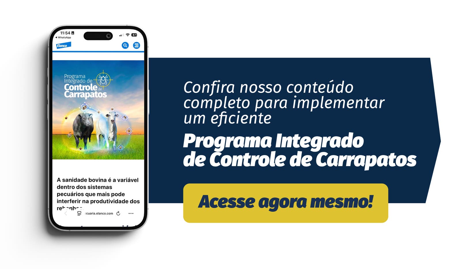 Confira nosso conteúdo completo para implementar um eficiente

Programa Integrado de Controle de Carrapatos
