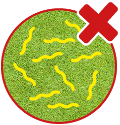 High worm risk icon