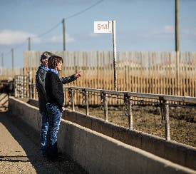 Farmers looking at field