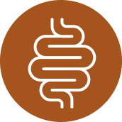 Melhor integridade intestinal