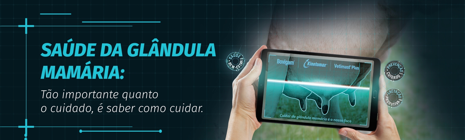 Saúde da glandula mamária - banner principal