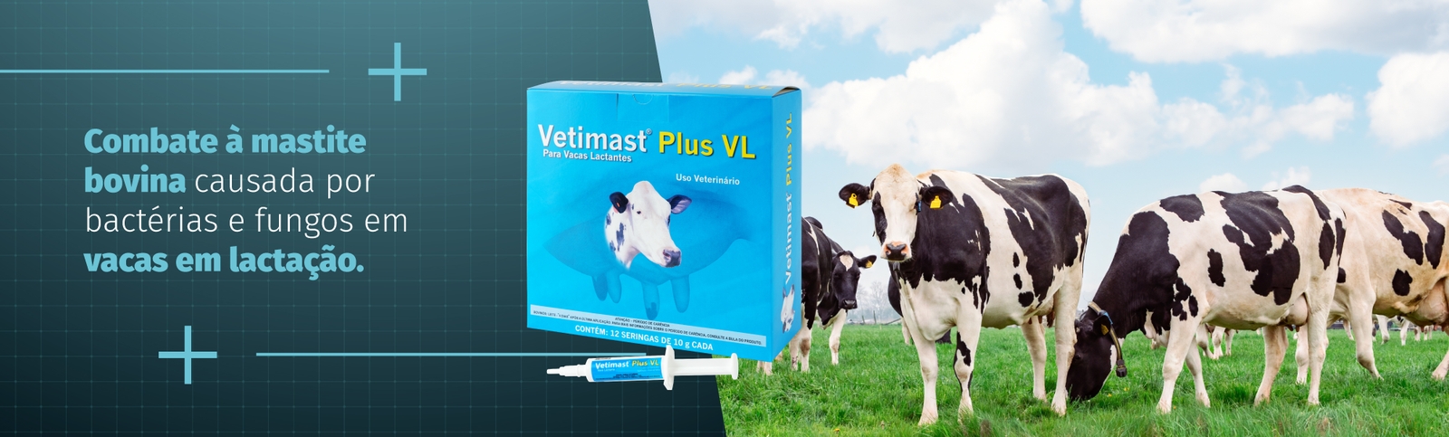 Banner Elanco Vetimast Plus VL