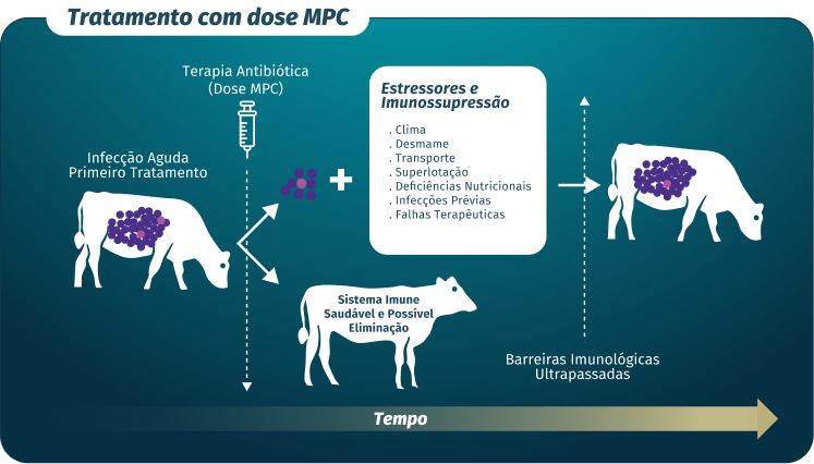 gráfico tratamento