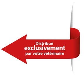 Flèche rouge distribué exclusivement par votre vétérinaire