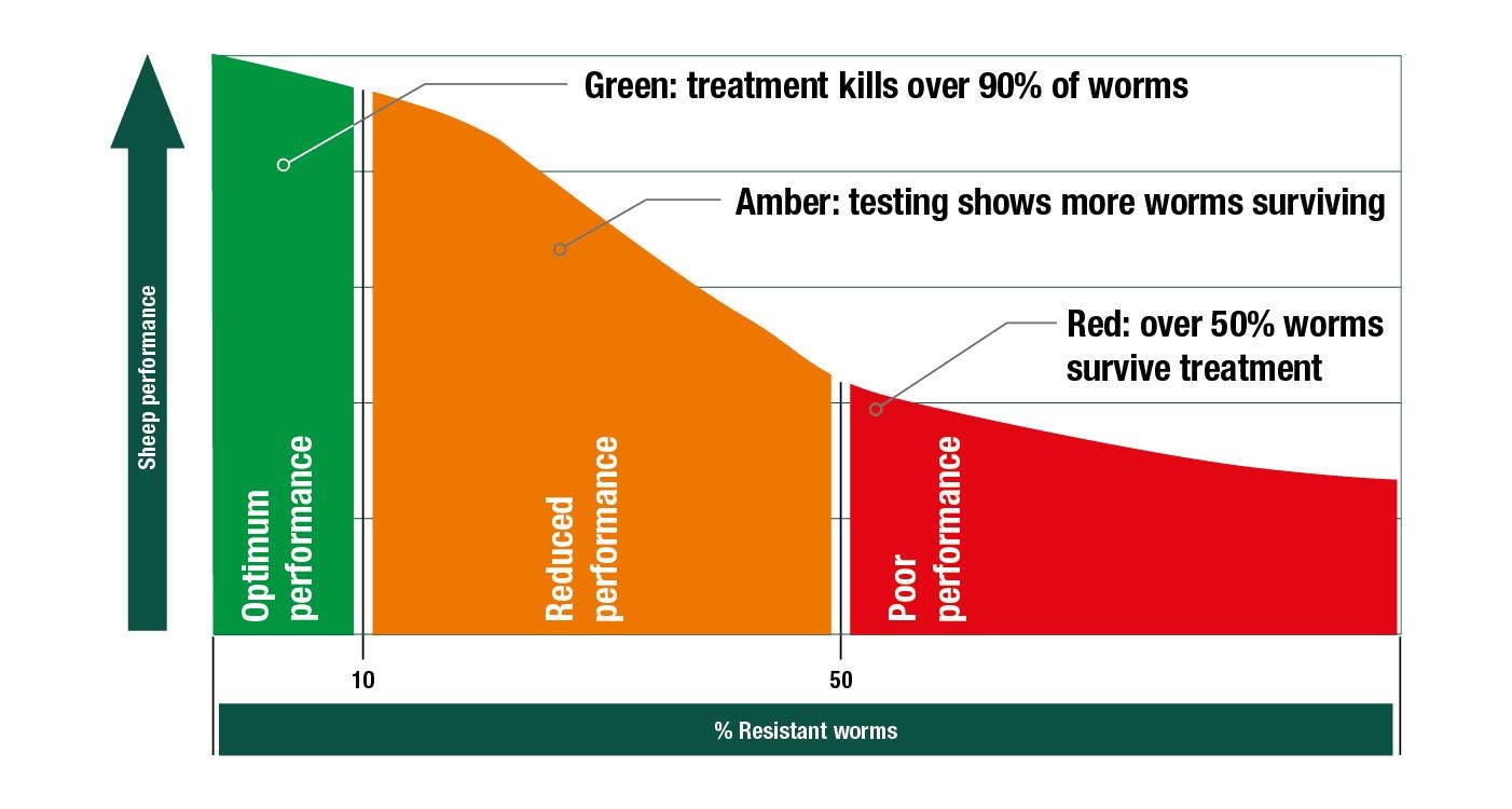 Development of resistance in sheep worms