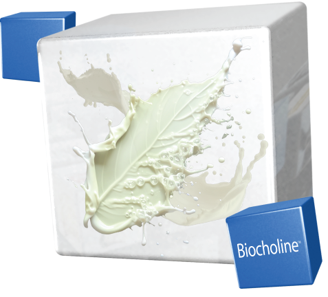 Cubo com imagem da Biocolina