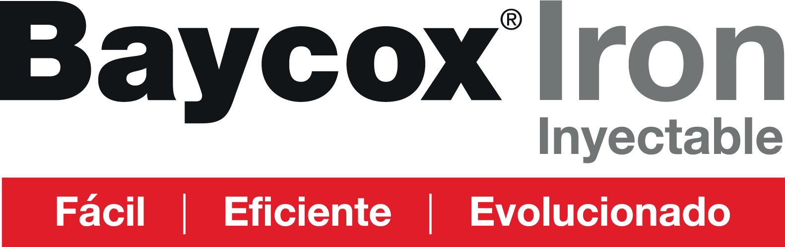 Logo Baycox™ Iron
