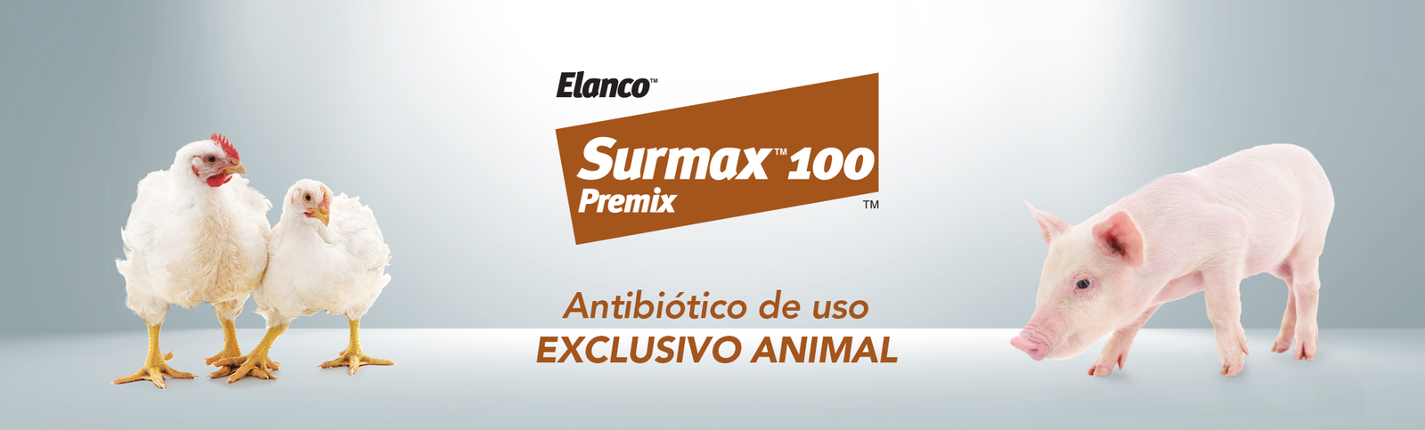 Banner Home Surmax 100 Aves e Suínos