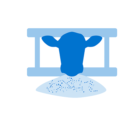 Feed efficiency icon