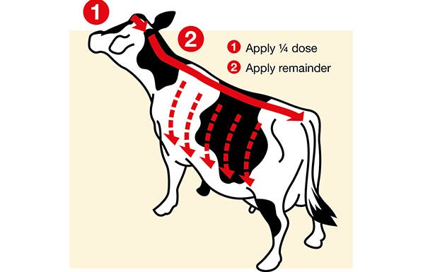 Application of Flypor to cattle for fly control on cows