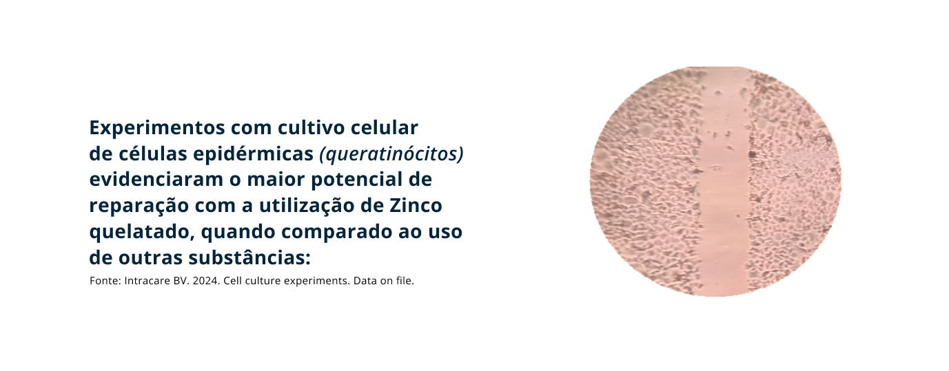 Experimentos com cultivo celular 
de células epidérmicas (queratinócitos) evidenciaram o maior potencial de
reparação com a utilização de Zinco quelatado, quando comparado ao uso 
de outras substâncias: