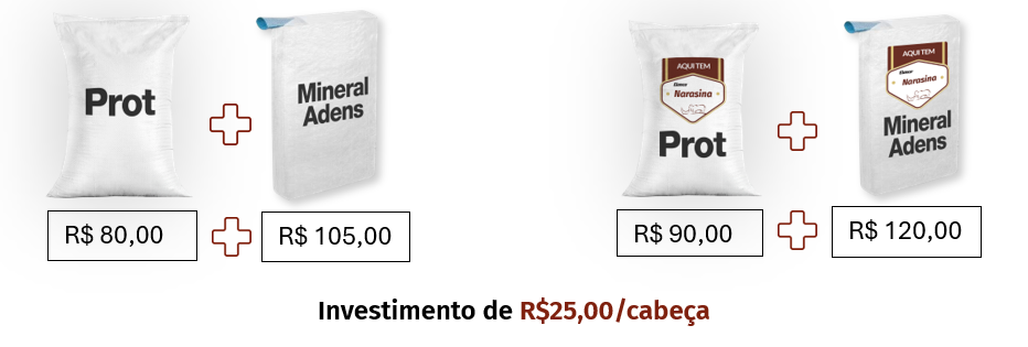 Análise ROI dos suplementos alimentares