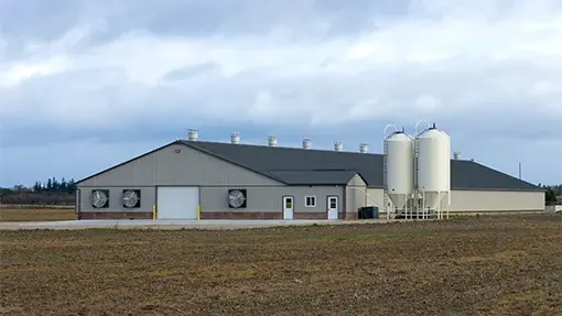 Poultry Facility With Integrated Pest Management Strategies
