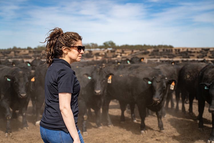 A woman with curly hair and sunglasses, wearing a dark polo shirt and jeans, stands in a dusty field surrounded by a large herd of black beef cattle under a clear blue sky.
