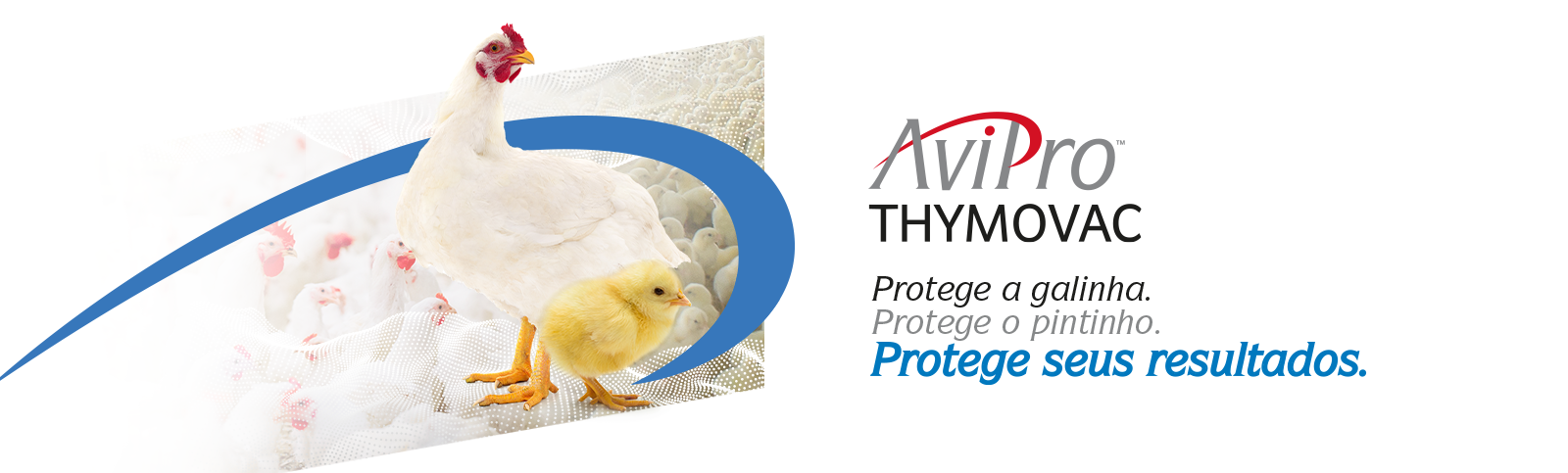 Banner AviPro Thymovac