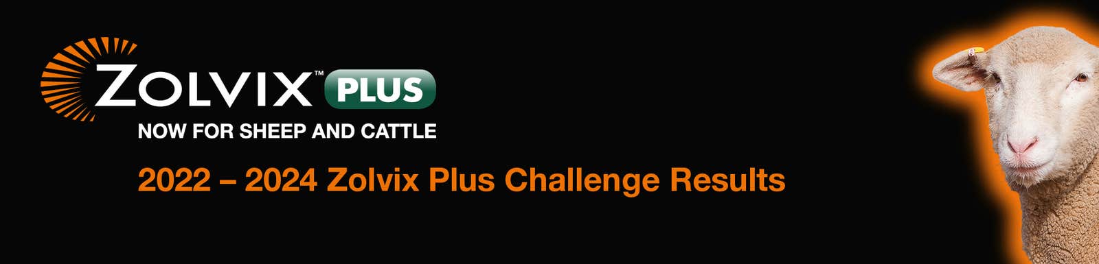 Zolvix Plus Challenge Results header image