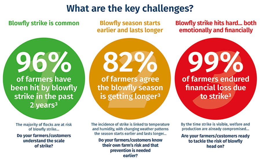 The key challenges of blowfly strike