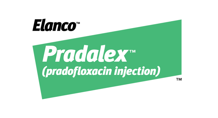 Elanco Pradalex (pradofloxacin injection) logo on a teal slanted background.