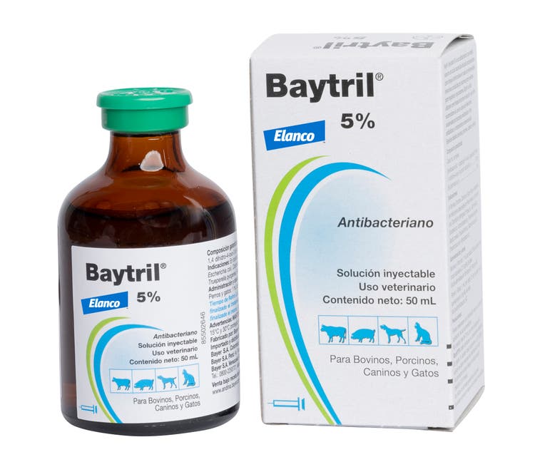 Producto_Baytril5_Inyectable 