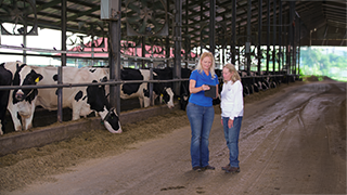Two women stand in a dairy barn aisle, looking at a tablet, with cows in stalls behind them.