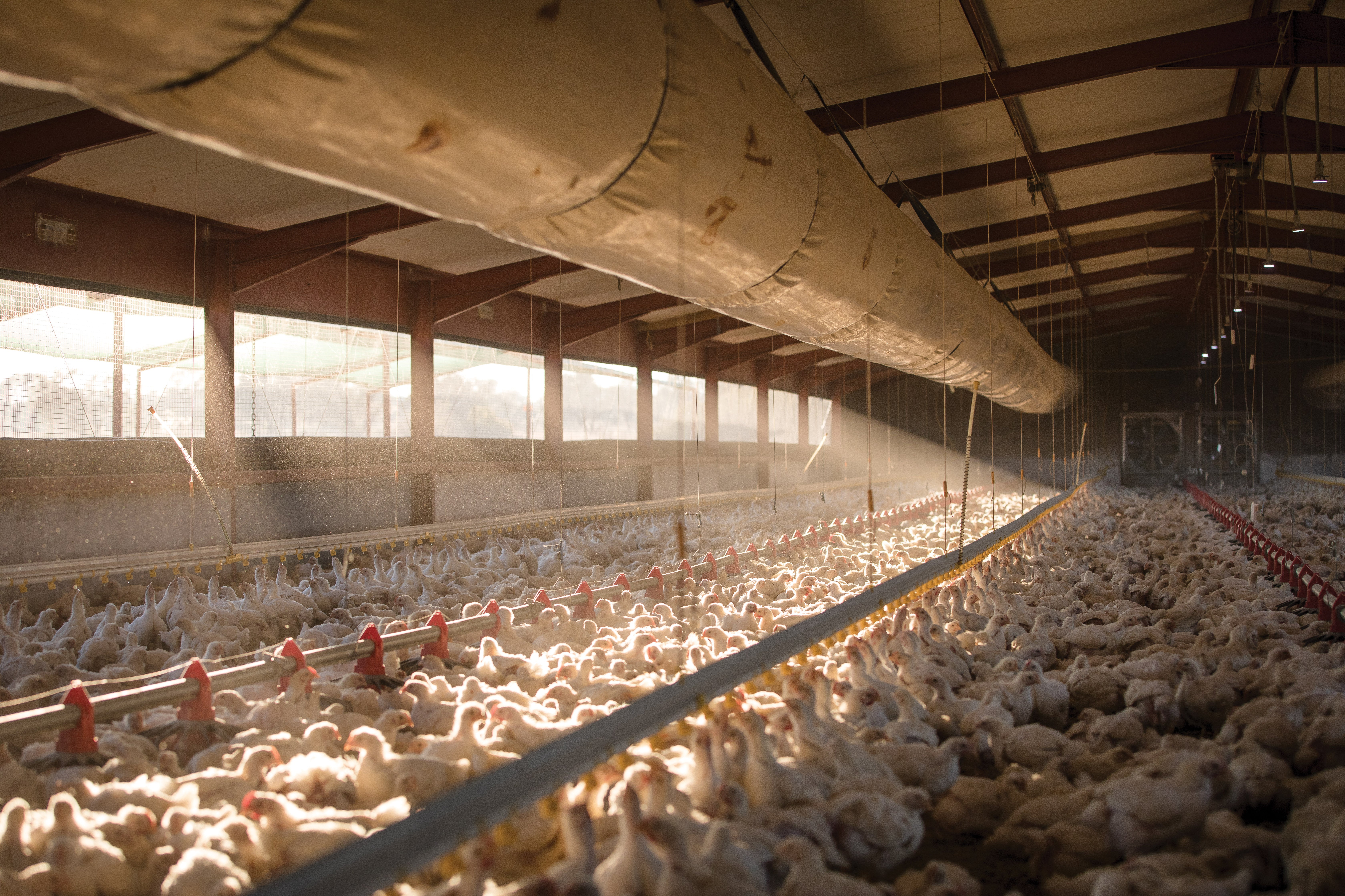 poultry house fabric ventilation duct system