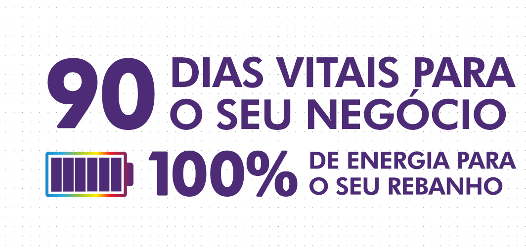 Banner da Campanha Elanco 90 dias Vitais energia para o seu rebanho