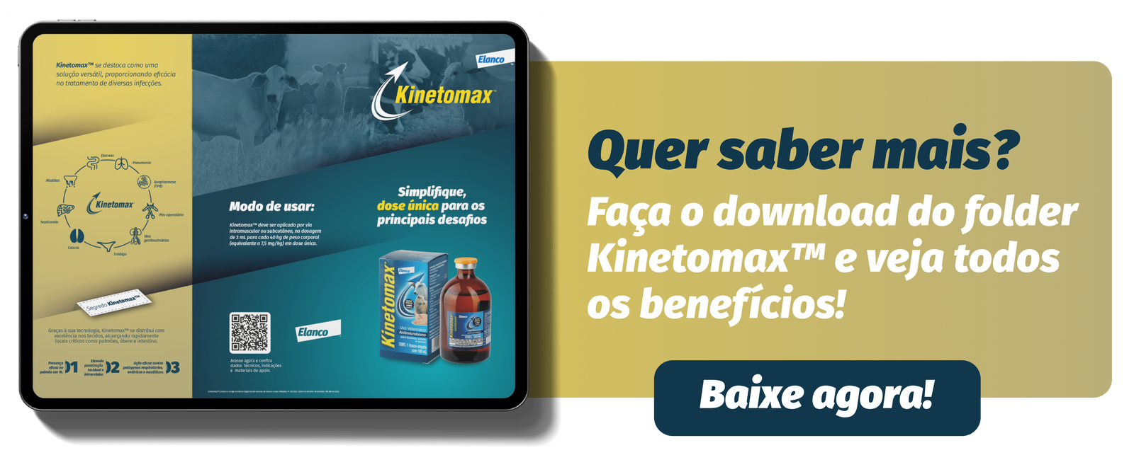 Banner para download do folder de Kinetomax