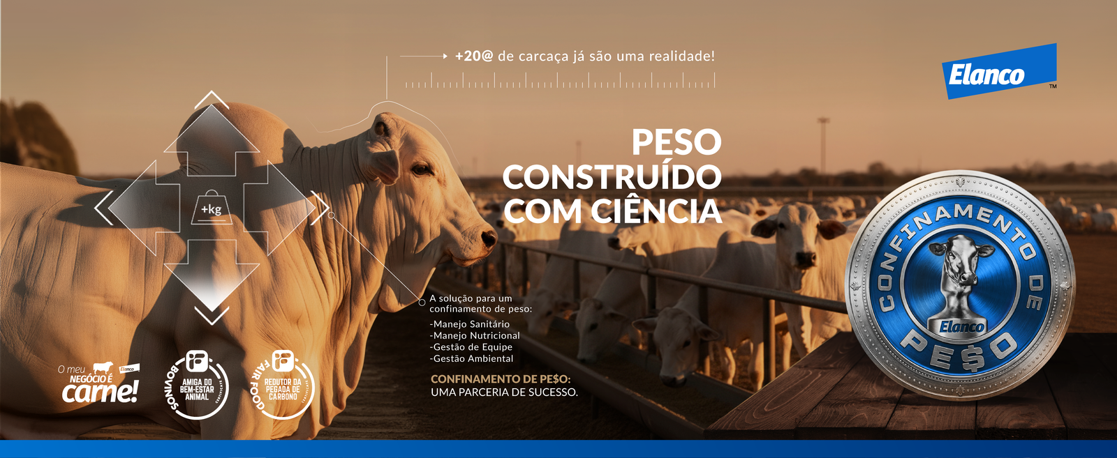 Banner Confinamento de Peso WEB