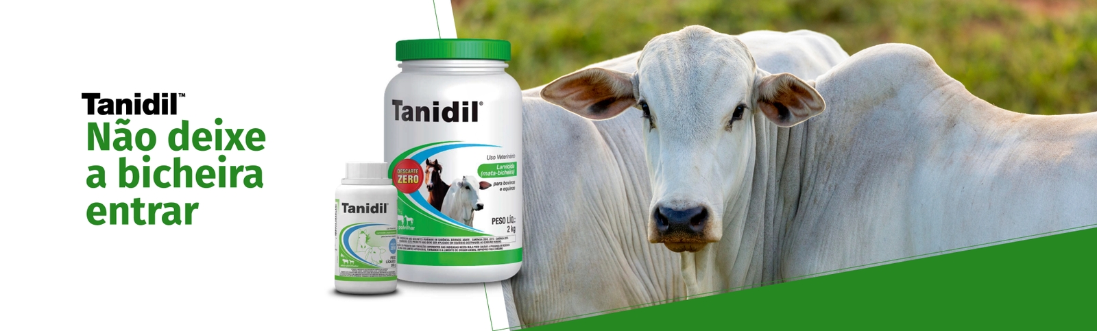 use Tanidil contra bicheira banner