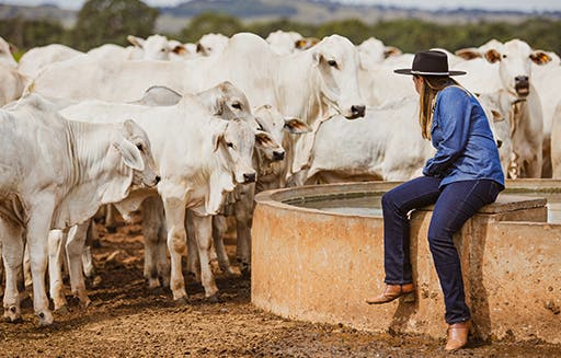 Mulher sentada próximo ao bebedouro com o gado olhando