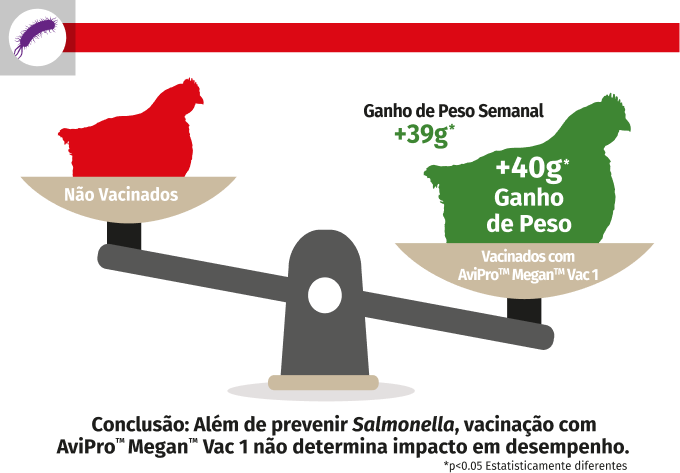 Desafiado com Salmonella Typhimurium (ST) - AviPro MeganVac 1