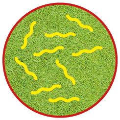 High risk pasture icon