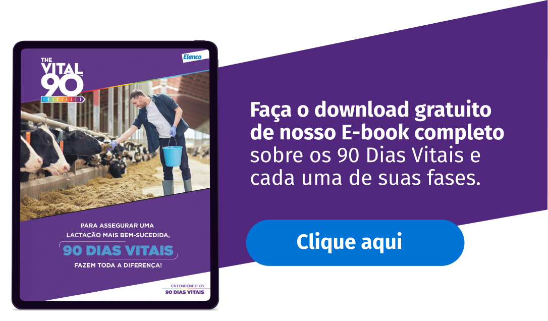 Download Folder 90 Dias Vitais 