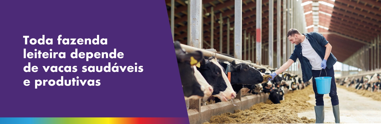 Toda fazenda leiteira depende de vacas saudáveis e produtivas