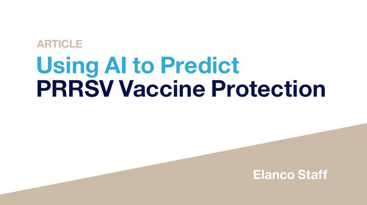  Using AI to Predict PRRSV Vaccine Protection Thumbnail
