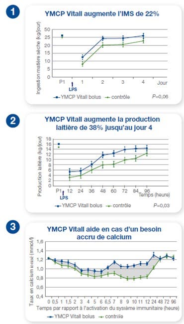 3 graphiques de l'efficacité de YMCP Vitall