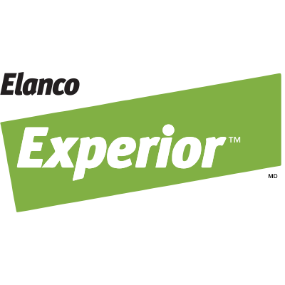Logo Experior.