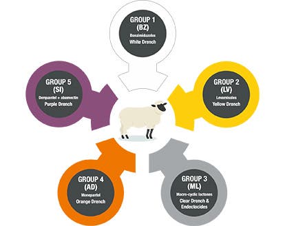 Sheep roundworm anthelmintic wormer groups