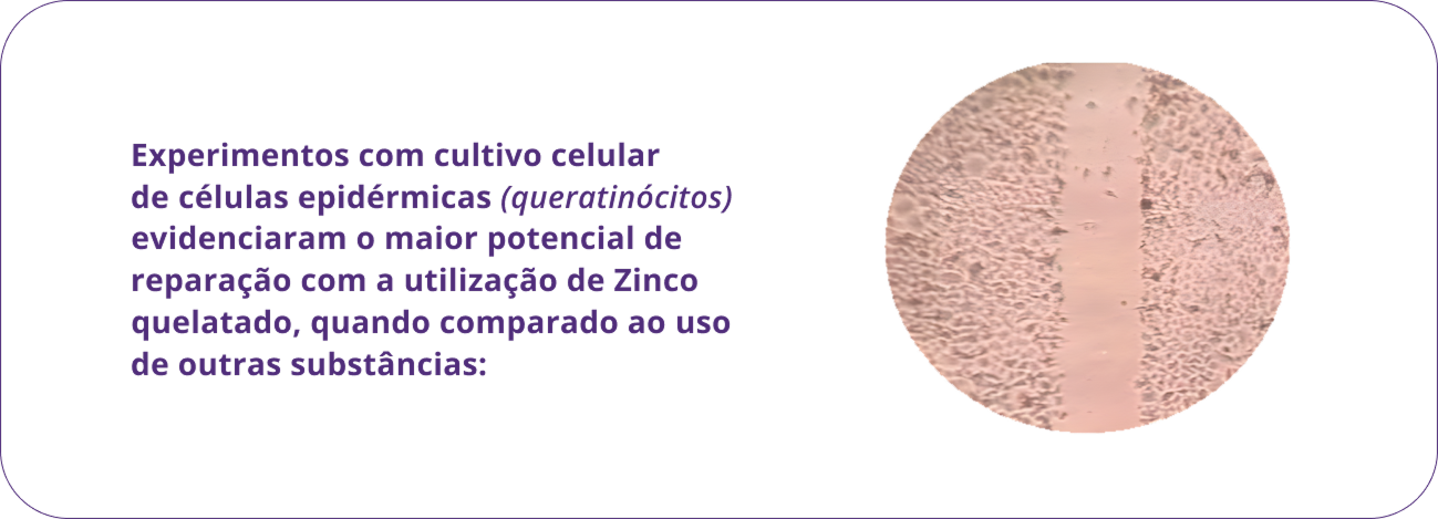 Experimentos com cultivo celular