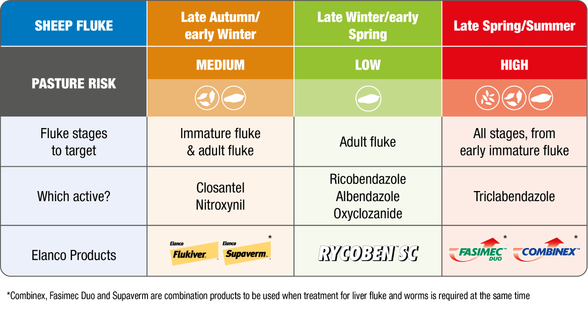 Table showing the active ingredients and Elanco products for treating liver fluke in sheep