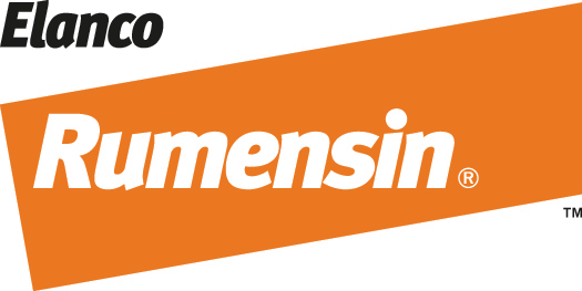 'Rumensin' logo in white italicized text inside a slanted, orange rectangular block.
