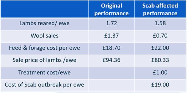 Sheep scab economic implications