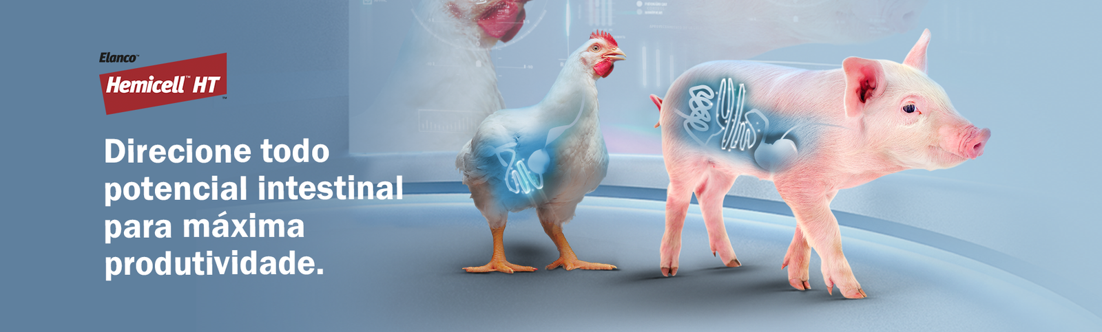 Banner Hemicell desktop